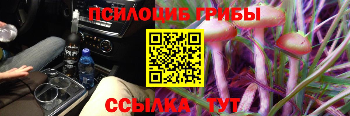 Галлюциногенные грибы Psilocybine cubensis  Вход с VPN  Киреевск 