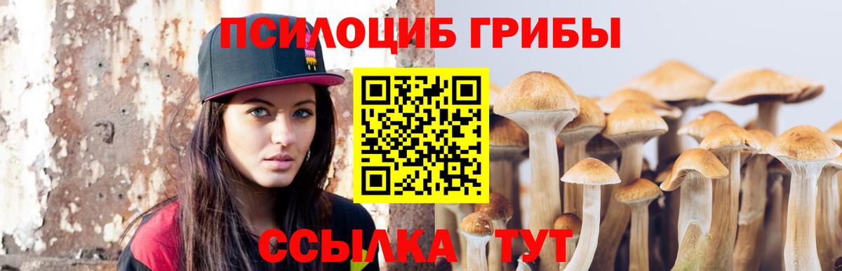 Псилоцибиновые грибы мицелий Киреевск