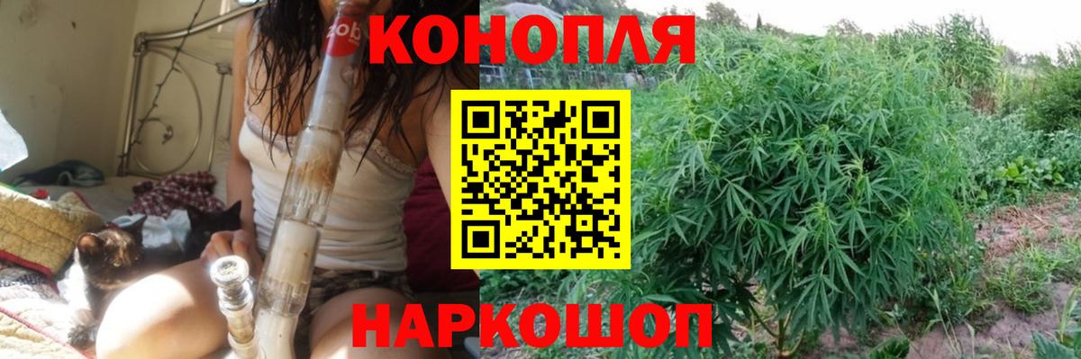 Каннабис MAZAR Киреевск